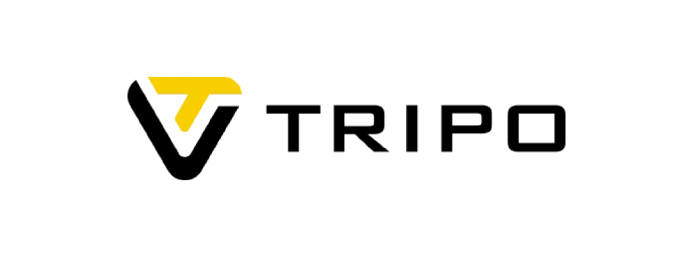 Tripo3D